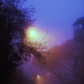 IMG_6211.jpeg