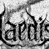 Laedis logo