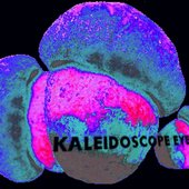 KALEIDOSCOPE EYES