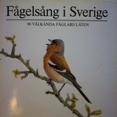 Fågelsång i Sverige (90 välkända fåglars läten)