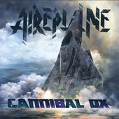AIREPLANE
