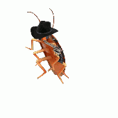 Lil-Guy 的头像