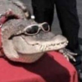 Avatar for Geckoguy567