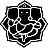 pipolaplaya 的头像