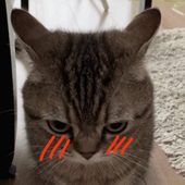 starscre4m 的头像