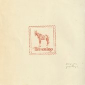 Palomino (From the Netflix Series "Nobody Wants This" Season 2)