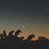 Moonlight