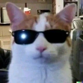 Avatar for spookymarsbars