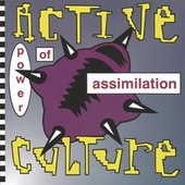 Power of Assimilation