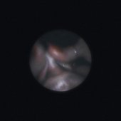 SATELLITE