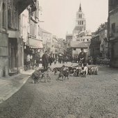 life is all about learning