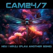 Hey ! Mr.dj (Play Another Song) - Single