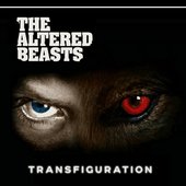 Transfiguration
