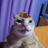 alienbobbie 的头像