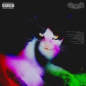 Without Reality: Vol 1 + 2