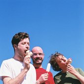 Real Terms lickin' ice creams