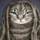 Avatar for nullz101