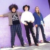 Melvins