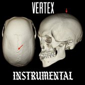 Vertex Instrumental