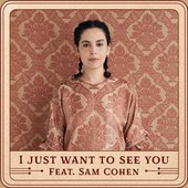 I Just Want to See You (feat. Sam Cohen) - Single