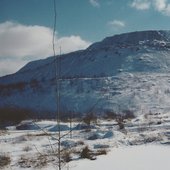 0006817409_10.jpg