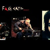 Fake Cats Project Band 2016