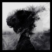 Dissolved In Grief