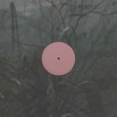 For The Early Hours of a World in Bloom