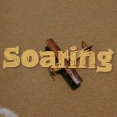 Soaring