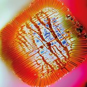 Nothing stands still