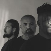 animals as leaders