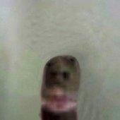 PAfNcMXYx8o.jpg