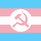 AudenP 的头像