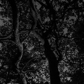 3540434658_photo.jpg