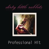 Professional Hit - Single