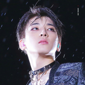 wondewdrop 的头像