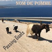 Passing Goats