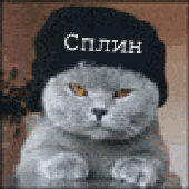 Avatar for uncle_splin