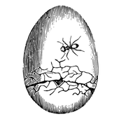 Avatar for eggtooth