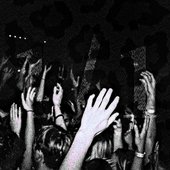1/1 - Single
