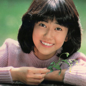 松本伊代