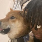 what the dog doin?