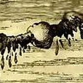 0006477054_10.jpg