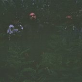 Джангл бразерс