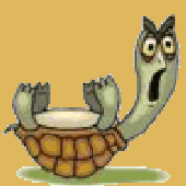 ScreamingTurtle 的头像