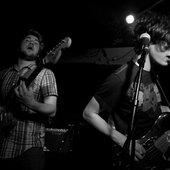 Cox's Yard: 8 June 2010