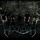 bandfoto_wald