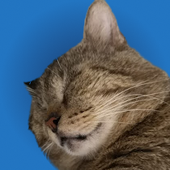 NyanCatForEver 的头像