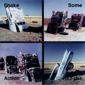 Shake Some Action Vol. 2 - USA (A Collection Of Powerpop, Mod & New Wave Rarities 1975-1986)