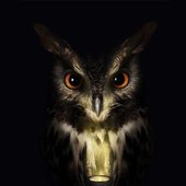 demonicowl için avatar